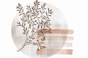 深夜看片首选，强烈安利：《玉蒲团》全网最详细剧情解说+推荐观看方式